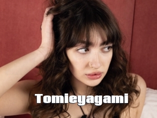 Tomieyagami