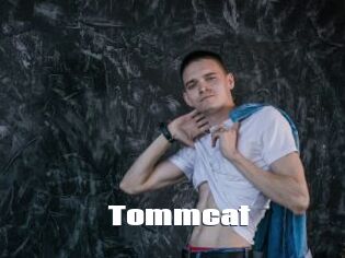 Tommcat