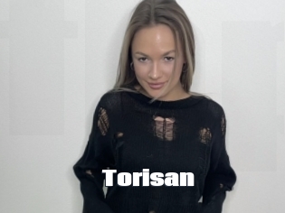 Torisan