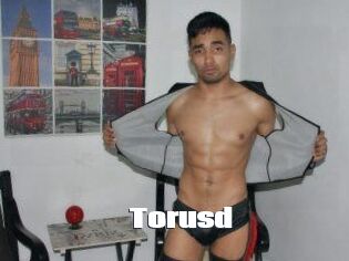 Torusd