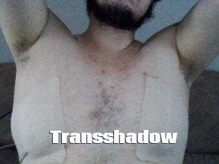 Transshadow