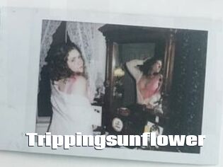 Trippingsunflower