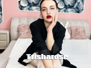 trisharose The hot porn