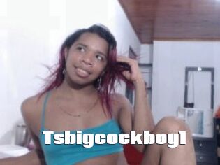Tsbigcockboy1