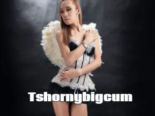 Tshornybigcum