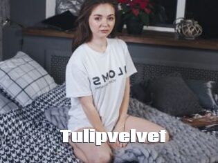Tulipvelvet