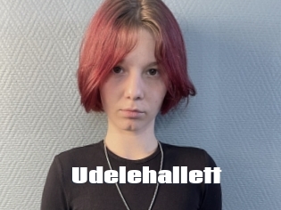 Udelehallett