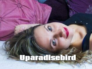 Uparadisebird