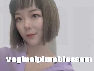 Vaginalplumblossom