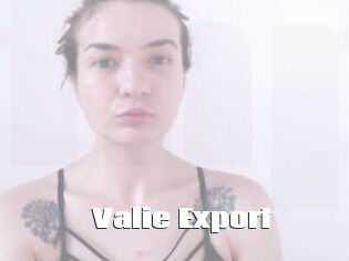 Valie_Export The hot porn