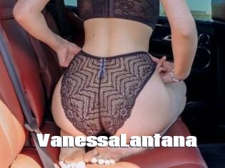 VanessaLantana
