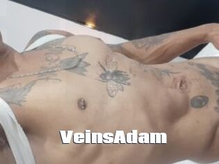 VeinsAdam