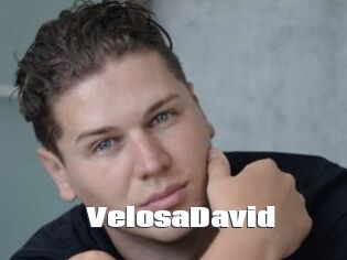 VelosaDavid