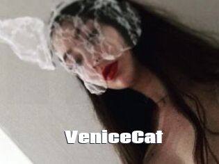 VeniceCat