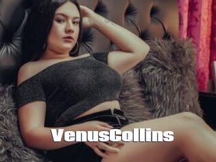 VenusCollins