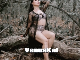 VenusKat