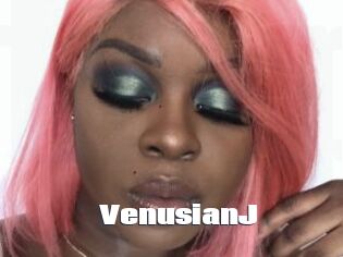 VenusianJ
