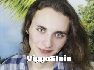 ViggoStein