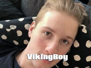 VikingBoy