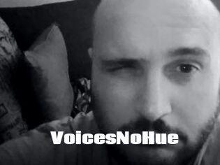 VoicesNoHue