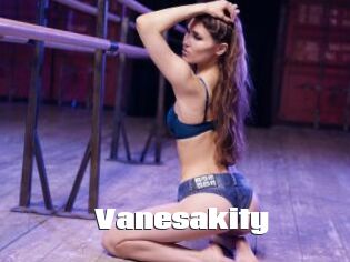 Vanesakity