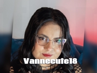 Vannecute18