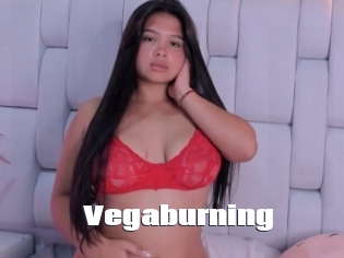 Vegaburning