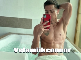 Velamiikconoor