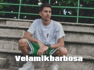 Velamikbarbosa