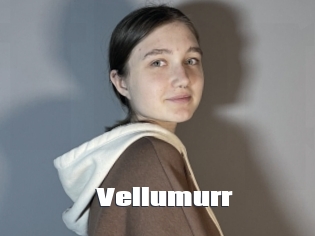 Vellumurr