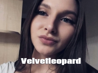 Velvetleopard