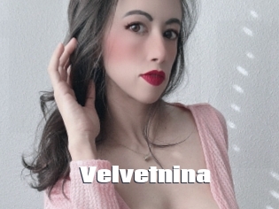 velvetnina The hot porn
