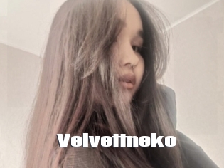 Velvettneko