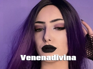 Venenadivina