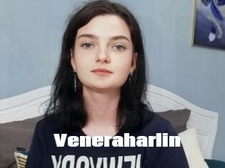 Veneraharlin