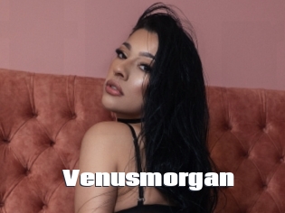 Venusmorgan