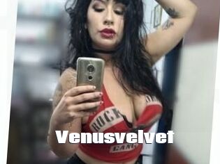 Venusvelvet