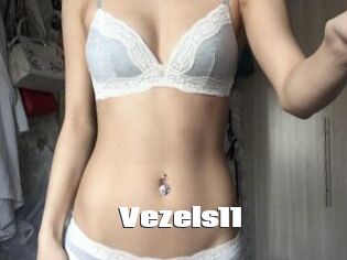 Vezels11