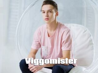 Viggomister