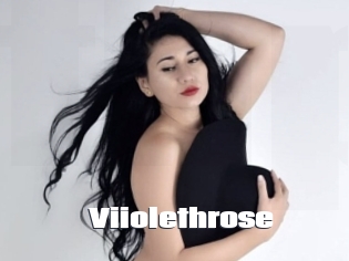 Viiolethrose