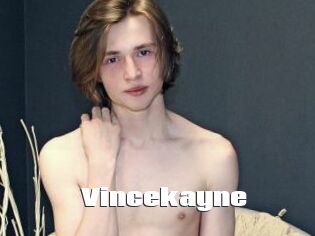Vincekayne