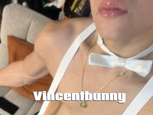 Vincentbunny