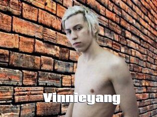 Vinnieyang