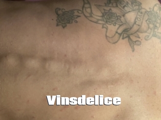 Vinsdelice