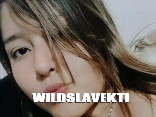 WILDSLAVEKTI