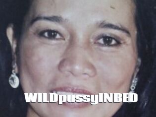 WILDpussyINBED