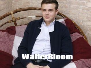 WalterBloom