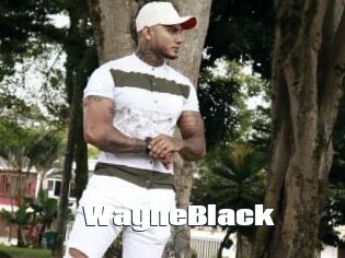 WayneBlack