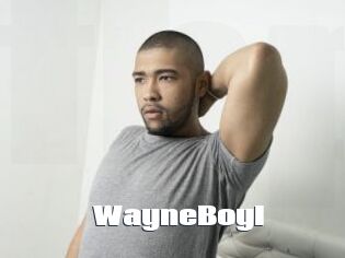 WayneBoyI