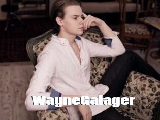 WayneGalager